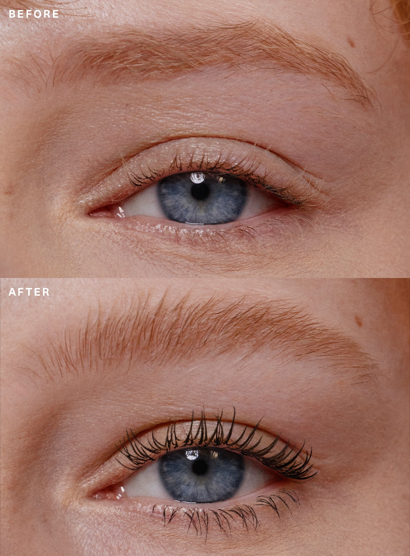 Mascara & Brow Gel Duo - Image 2