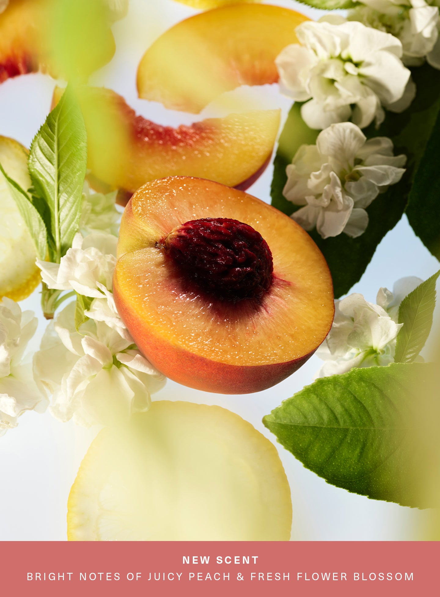 Find Comfort Body & Hair Fragrance Mist - Awaken Confidence - Image 2