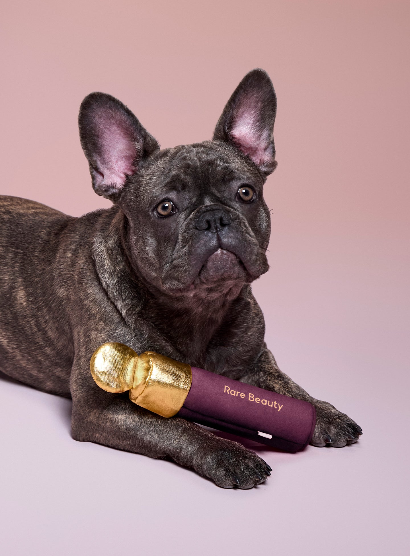 Soft Pooch Blush Dog Toy - Faith - Image 2