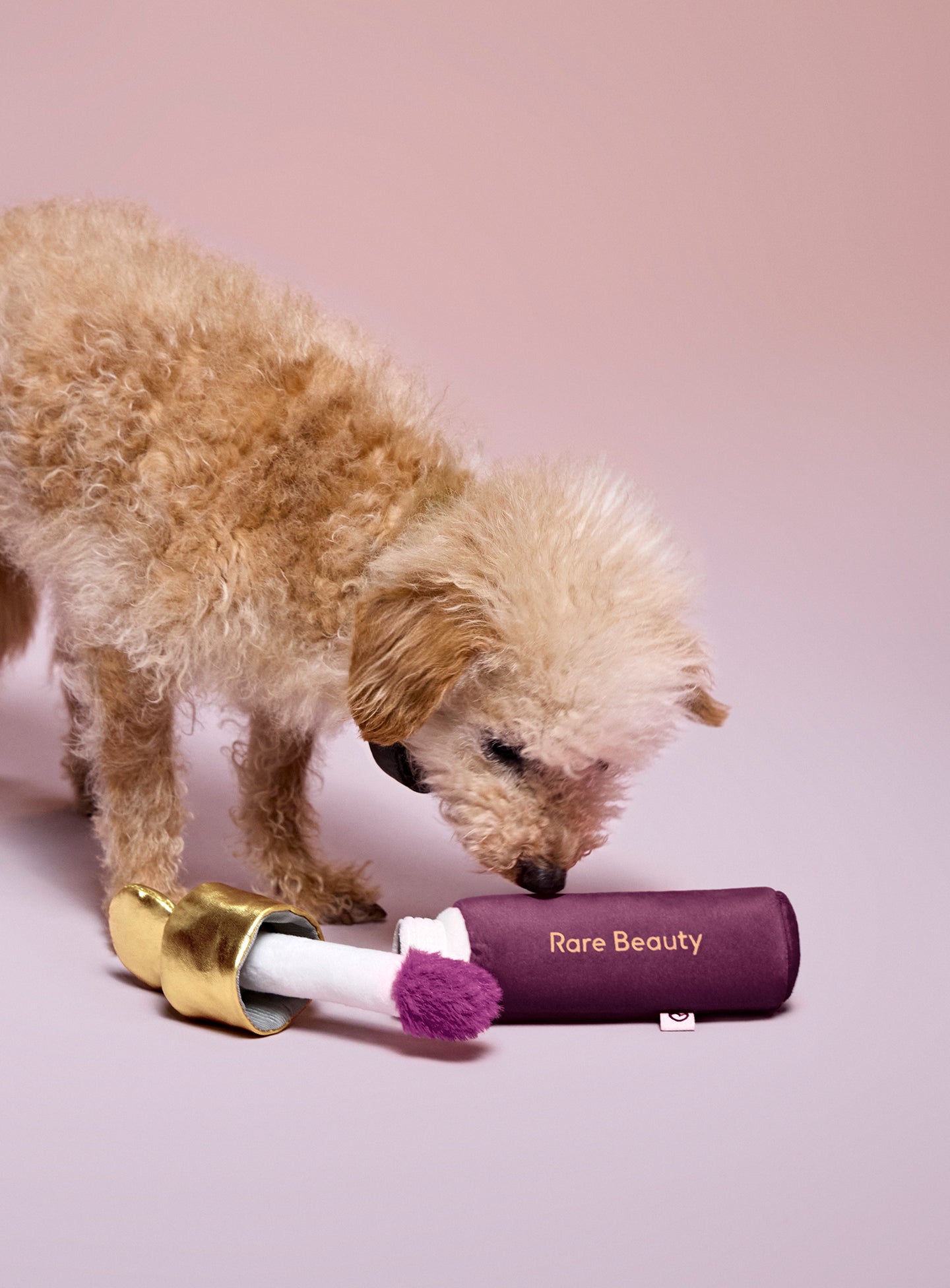 Soft Pooch Blush Dog Toy - Faith - Image 5