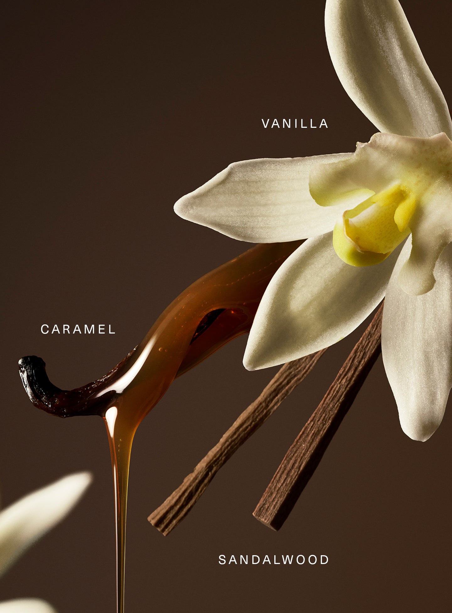 Rare Eau de Parfum - Image 3