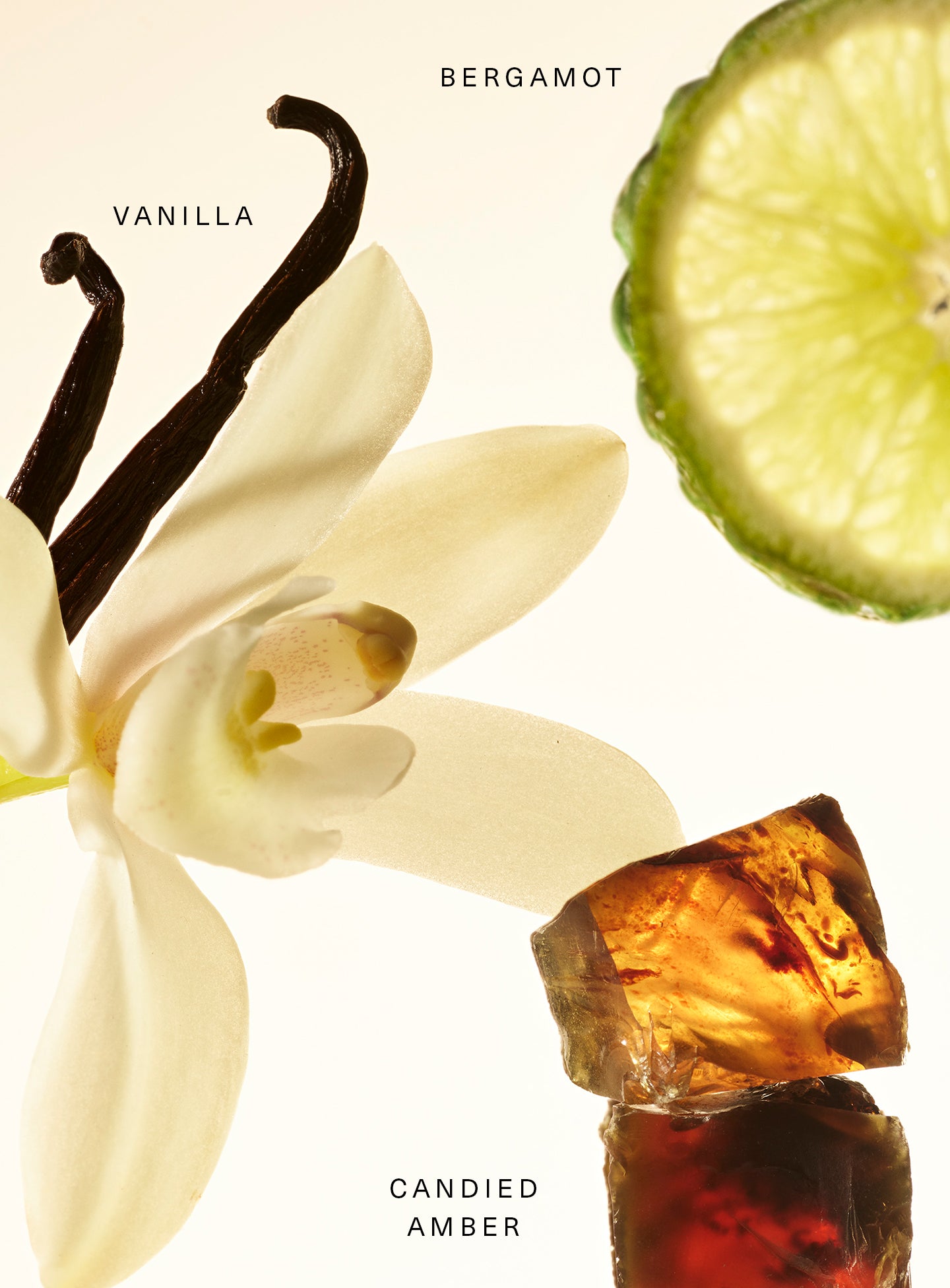 Fragrance Layering Balm - Amber Vanilla - Image 2