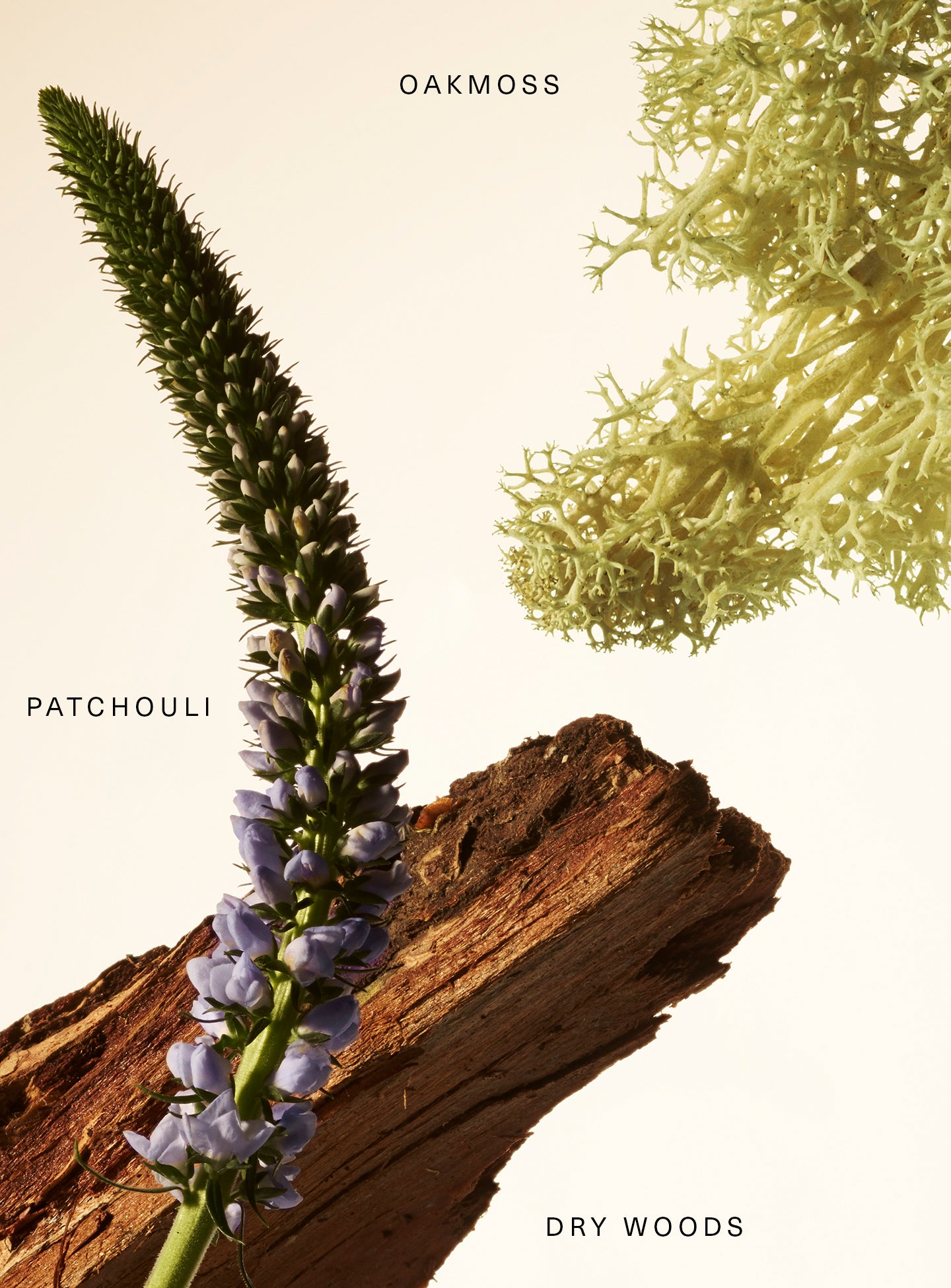 Fragrance Layering Balm - Woody Oak - Image 2